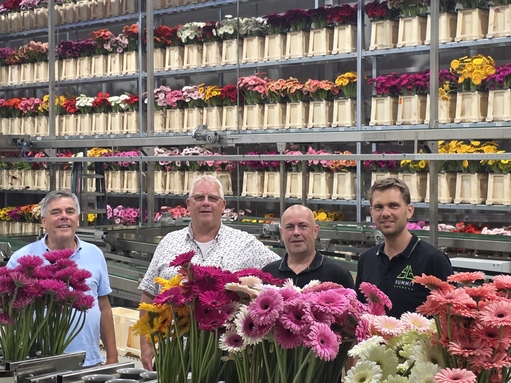 Het team van Summit Gerbera met vers geoogste gerbera's